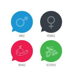 Colored speech bubbles. Male, female and octopus icons. Whale linear sign. Flat web buttons with linear icons. Vector