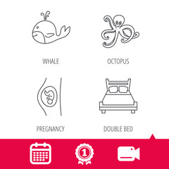 Achievement and video cam signs. Whale, octopus and double bed  icons. Pregnancy linear sign. Calendar icon. Vector