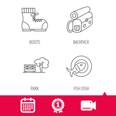 Achievement and video cam signs. Park, backpack and hiking boots icons. Fish dish linear sign. Calendar icon. Vector