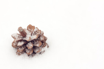Cone in the snow outdoor