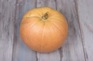 Pumpkin isolated on the reclaimed wood background