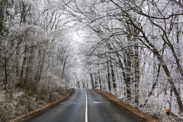 Fototapeta premium Winter road 