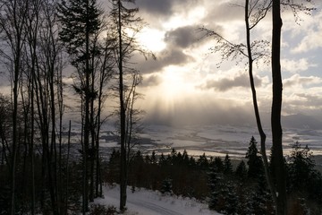 Misty woods with sun rays light during winter. Slovakia