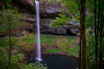 Pacific Northwest Waterfall