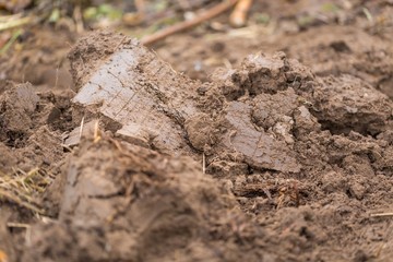 Fresh soil in garden