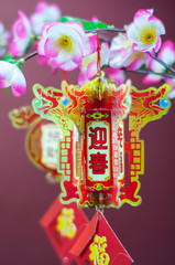 Chinese new year decorations. Chinese favourite flowers. Chinese new year craft