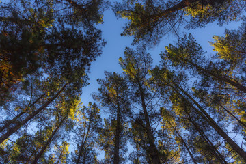 Fototapeta premium Anboto y alrededores