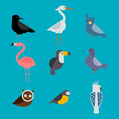 Birds vector set illustration isolated