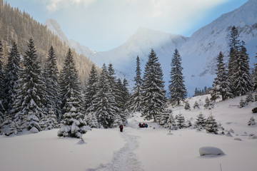 Beautiful winter landscape in the mountains
