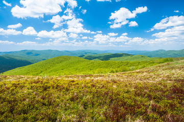 Zielone Bieszczady, Widok z Małej Rawki słoneczny majowy dzień, Wiosna w górach © Piotr Szpakowski