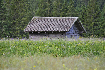 Fototapeta na wymiar Wooden hut in Valgrande, Comelico, in the Dolomites.