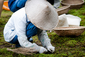 lavoratore giapponese