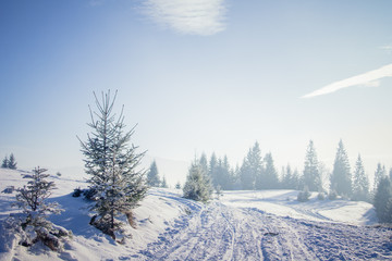 Winter road in the Carpathians