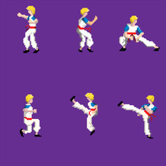 Vector illustration of pixel art martial arts fighter