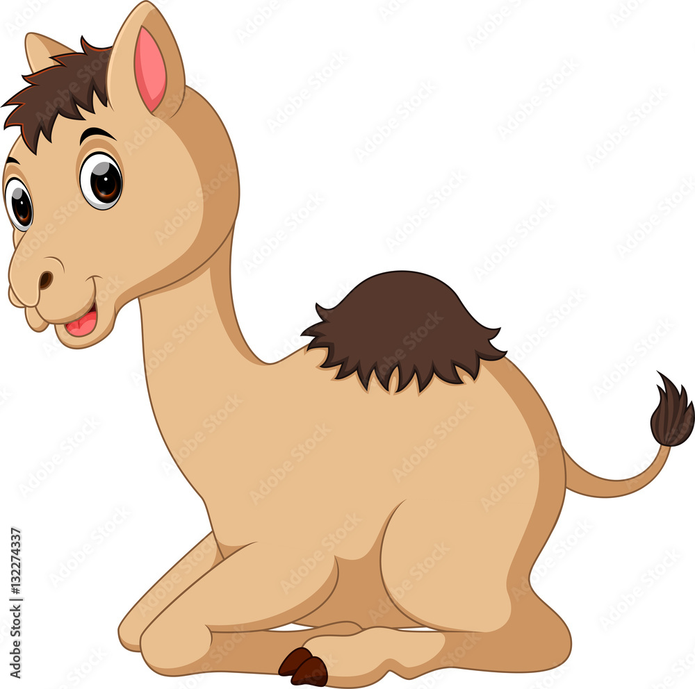 Poster cute camel cartoon