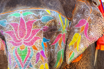 Portrait of painted elephant walking up to Amber Fort near Jaipu