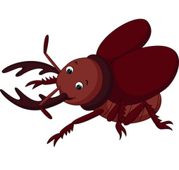 Cartoon funny beetle

