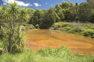 Soda Springs geothermal area in New Zealand