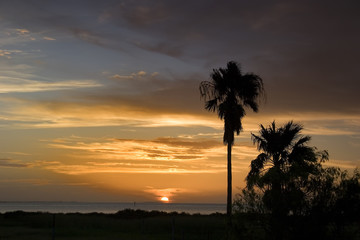 Naklejka premium Palm Sunset