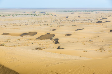 Fototapeta na wymiar Barchan dunes of Maranjab Desert in Iran