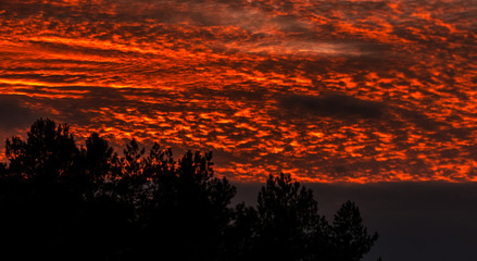 Fiery orange sunset  colorful and speckled  clouds.