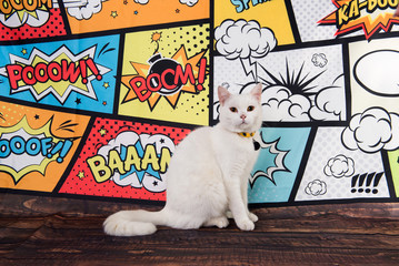 white cat on a comic background