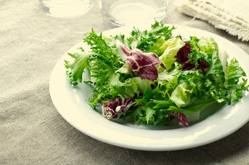 Green salad with spinach, frisee, arugula and radicchio on blue wooden background