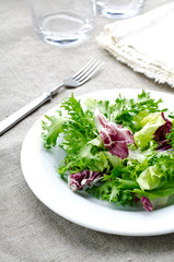 Green salad with spinach, frisee, arugula and radicchio on blue wooden background