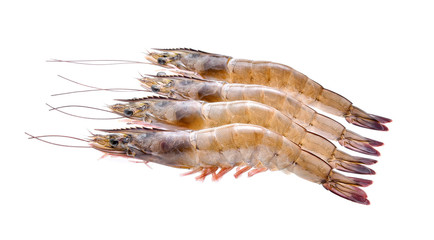 Raw shrimps isolate on white background