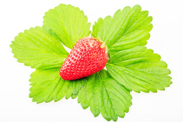 Ripe strawberry
