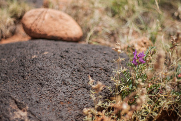 Rock Stacked on Larger Rock