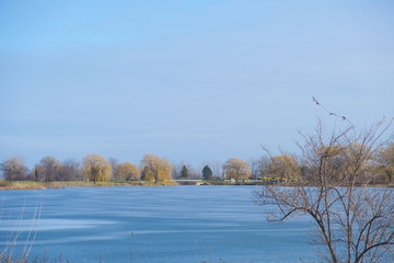 Blue icy pond