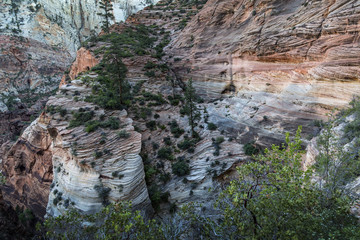 Colorful Canyon in Zion National Park