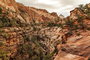 Orange colored rocks at Zion National Park, Utah, USA