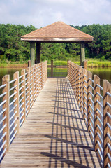 Huntington Beach State Park, South Carolina, USA. Wooden boardwalk and observation point in the expansive salt marsh, vertical composition.