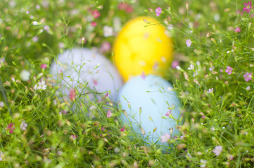 Background with Easter Eggs in the Gypso Fresh Green Grass