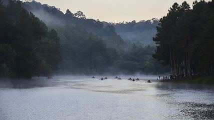 Many bamboo raft floating on the reservoir with mist in the morn