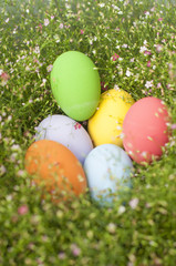 Background with Easter Eggs in the Gypso Fresh Green Grass