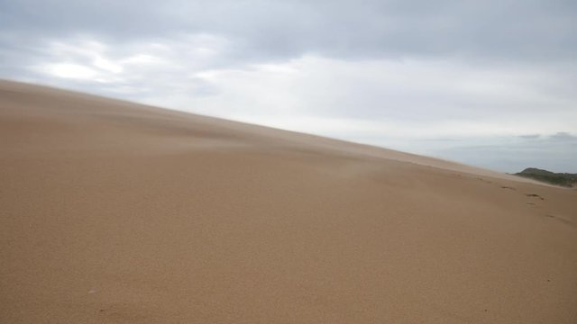 High wind and sand dunes at Newburgh beach in Aberdeenshire, Scotland, UK

