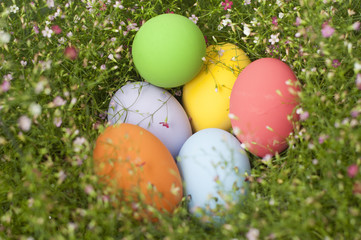 Background with Easter Eggs in the Gypso Fresh Green Grass