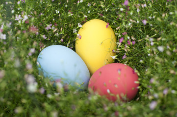 Background with Easter Eggs in the Gypso Fresh Green Grass