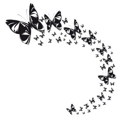 Obraz na płótnie Canvas beautiful butterflies, isolated on a white