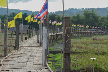Bamboo bridge