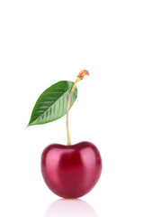Cherry isolated on white background