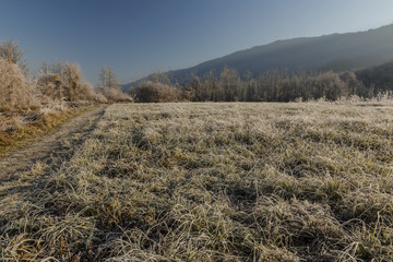 Fototapeta premium Lac de Sainte Hélène - Savoie.