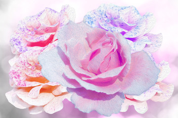 abstract roses bouquet oil paint background, photoshop filter effect