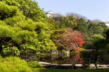 Japanese garden with red maple