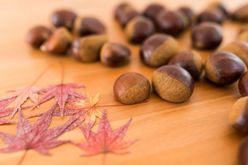 Chestnut and dried maple leaves