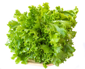 Obraz premium Fresh organic lettuce, closeup shot on white isolated.