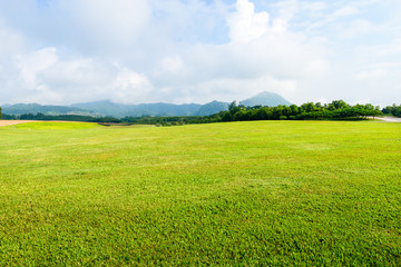 grass field background